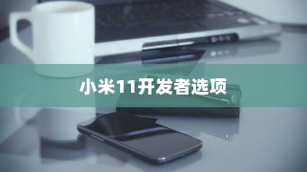 开启小米11开发者选项，详细步骤与操作指南