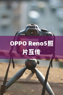 OPPO Reno5照片互传攻略，轻松分享美好瞬间