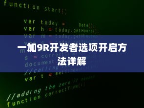 一加9R开发者选项开启方法详解