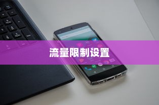 荣耀X50Pro手机流量限制设置详解
