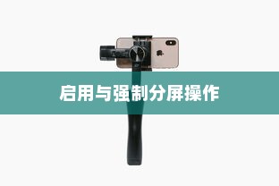 全面解析，如何在vivo手机上启用分屏功能与强制分屏操作