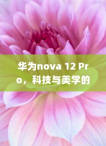 华为nova 12 Pro，科技与美学的完美融合