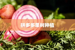 拼多多果树种植浇水详解，如何正确为果树浇水