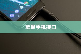 苹果手机接口会用Type-C吗？一场技术革新与市场竞争的探讨