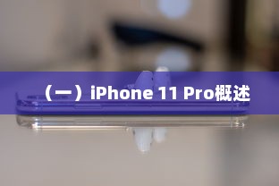 （一）iPhone 11 Pro概述
