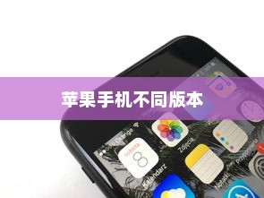 苹果手机卖什么版本，全面解析不同版本的特点与选择建议
