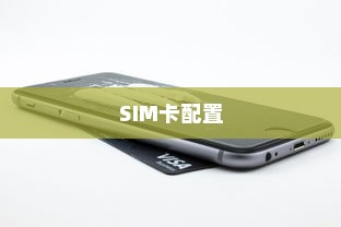 二、背景知识，iPhone的SIM卡配置