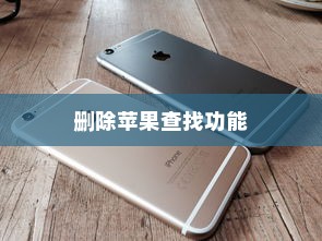 苹果查找iPhone功能能否删除？一篇文章解答你的疑惑