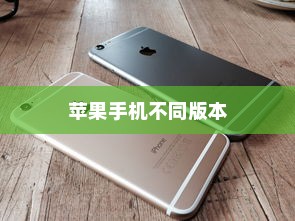 苹果手机卖什么版本，全面解析不同版本的特点与选择建议