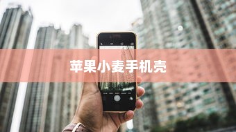 苹果小麦手机壳好不好用？深度解析带给您答案