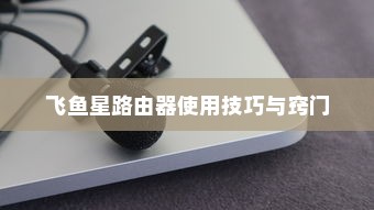 飞鱼星路由器使用技巧与窍门
