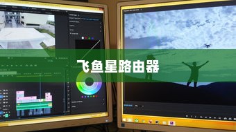 飞鱼星路由器使用指南，轻松掌握路由器设置与操作