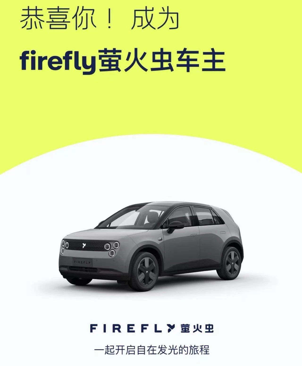 购买萤火虫的七大要点总结