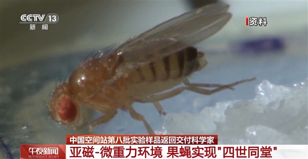 约37.25公斤！中国空间站第八批实验样品返回：涉及25个实验项目
