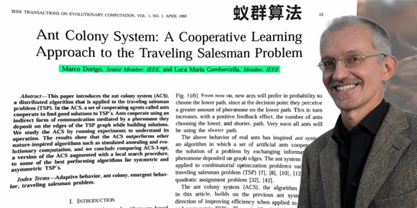 研究完蚂蚁搬家 我好像明白了为什么我们总是堵车