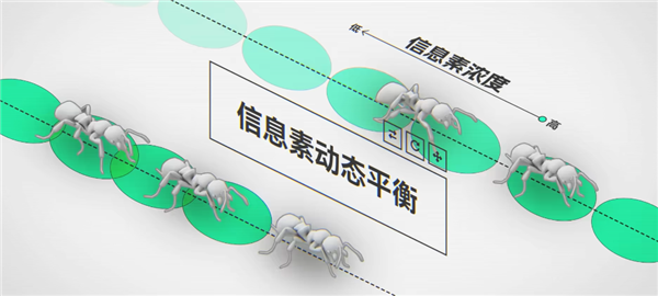 研究完蚂蚁搬家 我好像明白了为什么我们总是堵车