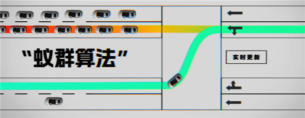 研究完蚂蚁搬家 我好像明白了为什么我们总是堵车