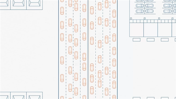 研究完蚂蚁搬家 我好像明白了为什么我们总是堵车
