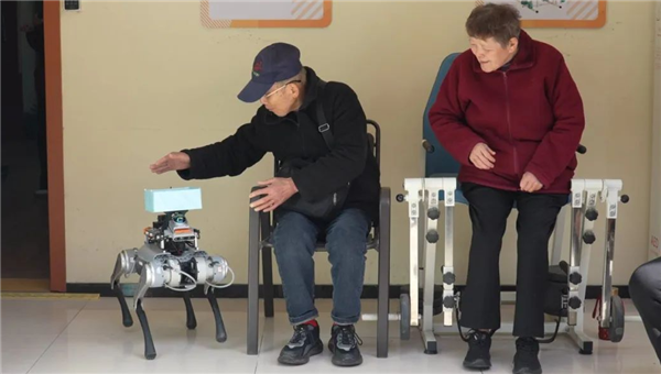 能送药、会唠嗑，这只杭州造机器狗如何“跑”进百姓生活