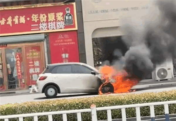 五菱缤果当街起火 整车被烧报废！车主：被邻居通知才知道车着了